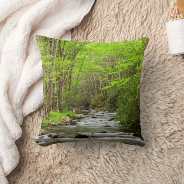 Great Smoky Mountains National Park North Carolina Cushion (Blanket)