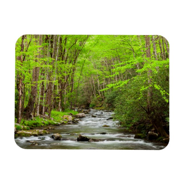Great Smoky Mountains National Park North Carolina Magnet (Horizontal)