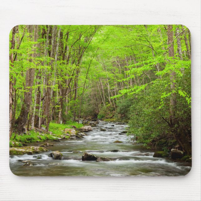Great Smoky Mountains National Park North Carolina Mouse Mat (Front)