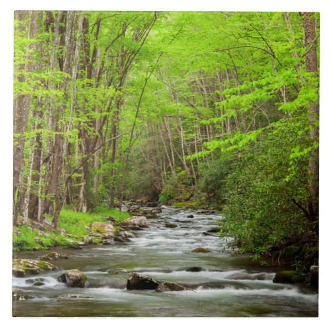 Great Smoky Mountains National Park North Carolina Tile (Front)