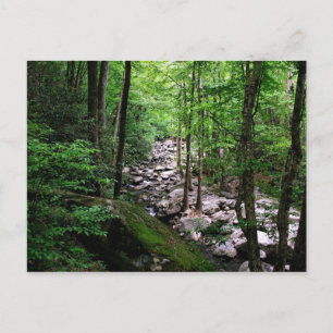 Great Smoky Mountains National Park Postcard
