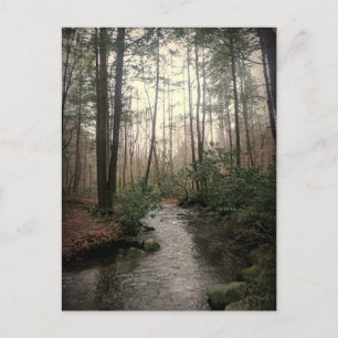 Great Smoky Mountains National Park Postcard