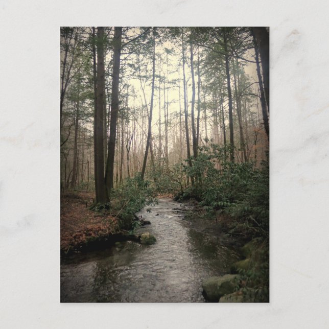 Great Smoky Mountains National Park Postcard (Front)