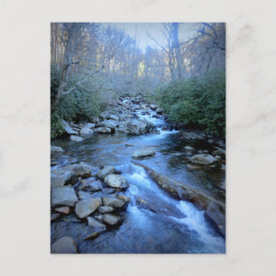 Great Smoky Mountains National Park Postcard