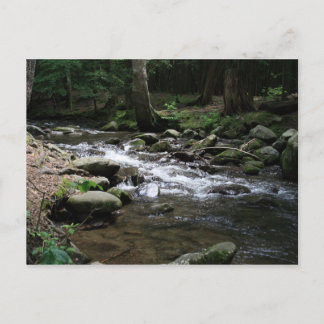 Great Smoky Mountains National Park Postcard