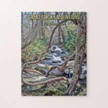Great Smoky Mountains National Park Stream
