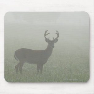 Great Smoky Mountains National Park, Tennesse, Mouse Mat
