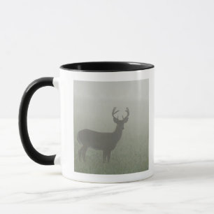 Great Smoky Mountains National Park, Tennesse, Mug