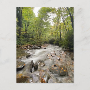 Great Smoky Mountains National Park, Tennessee Postcard