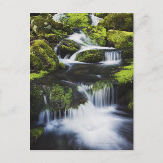 Great Smoky Mountains National Park, Tennessee Postcard (Front)