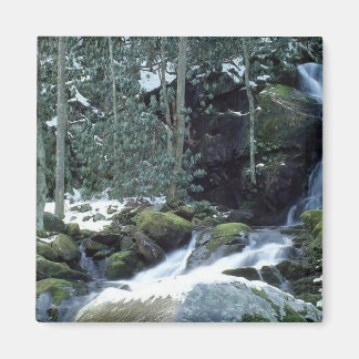 Great Smoky Mountains, NC Magnet