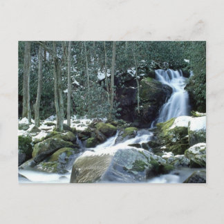 Great Smoky Mountains, NC Postcard