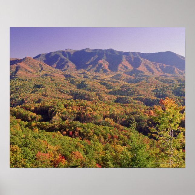 Great Smoky Mountains NP, Tennessee, USA Poster (Front)