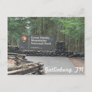 Great Smoky Mountains Postcard