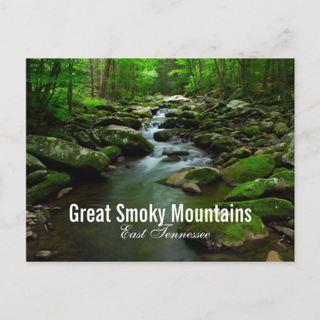 Great Smoky Mountains river postcard (Front)