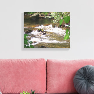Great Smoky Mountains Stream Canvas Print