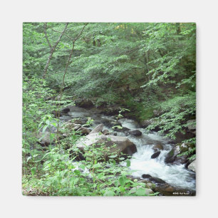 Great Smoky Mountains Stream Magnet