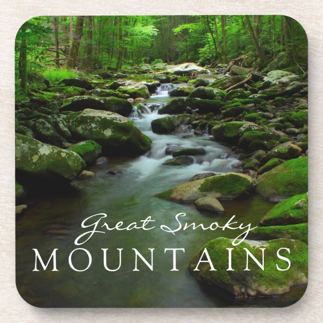 Great Smoky Mountains Stream Watefall Tremont Area Coaster (Front)
