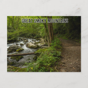 Great Smoky Mountains Tennessee Postcard