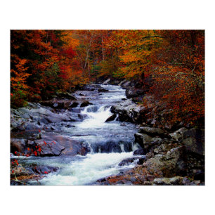 Great Smoky National Park Poster