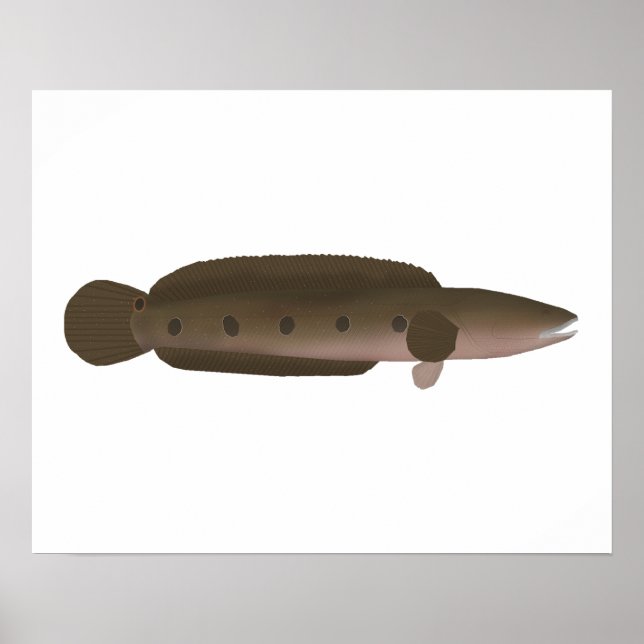 Great Snakehead Poster (Front)