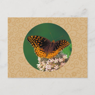 Great Spangled Fritillary Butterfly Postcard