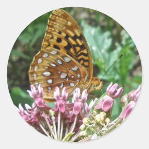 Great Spangled Fritillary Coordinating Items Classic Round Sticker