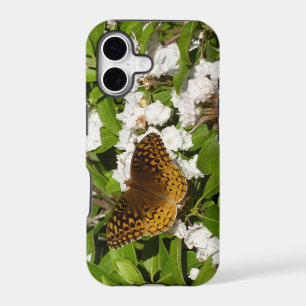 Great Spangled Fritillary on Mountain Laurel