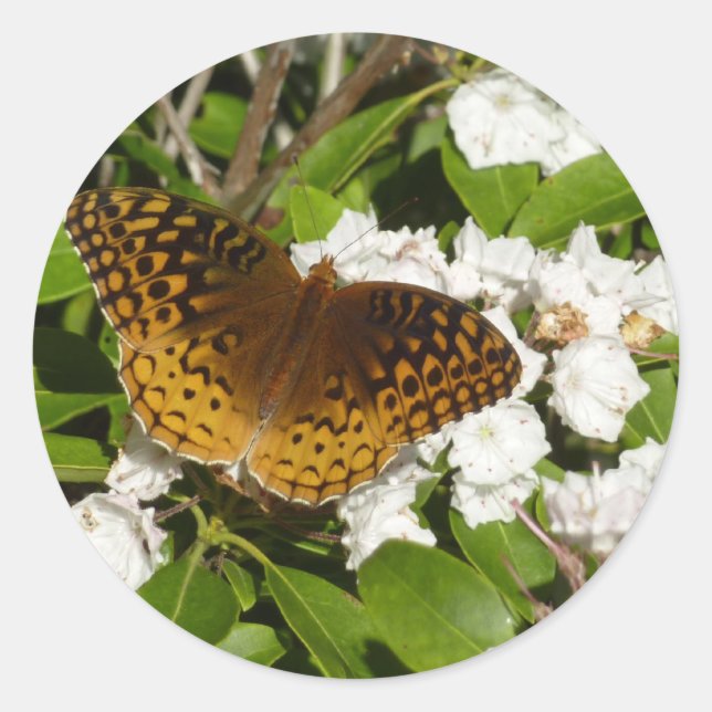 Great Spangled Fritillary on Mountain Laurel Classic Round Sticker (Front)