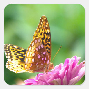 Great Spangled Fritillary Square Sticker