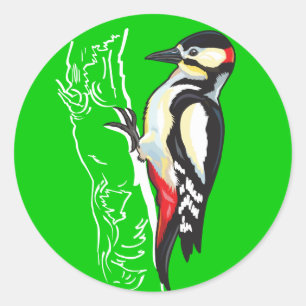 great spotted woodpecker classic round sticker