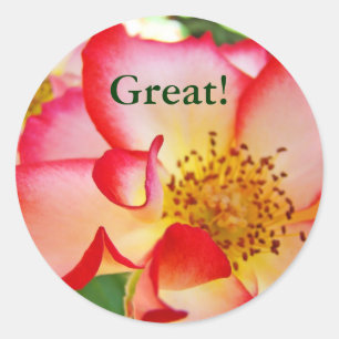 Great! stickers Red White Rose Flowers Colourful