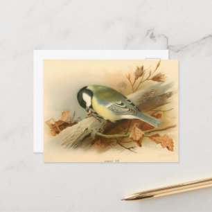 Great Tit by Lord Lilford, Illustration Postcard