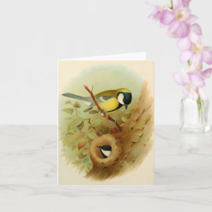Great tit- Colourful bird, Art Card