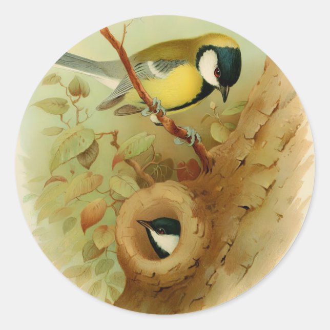 Great tit- Colourful bird, Art Classic Round Sticker (Front)