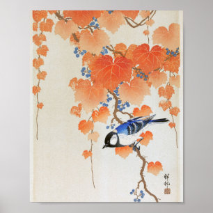 Great tit on paulownia branch poster