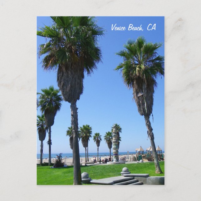 Great Venice Beach Postcard! Postcard (Front)