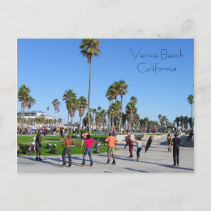 Great Venice Beach Postcard! Postcard