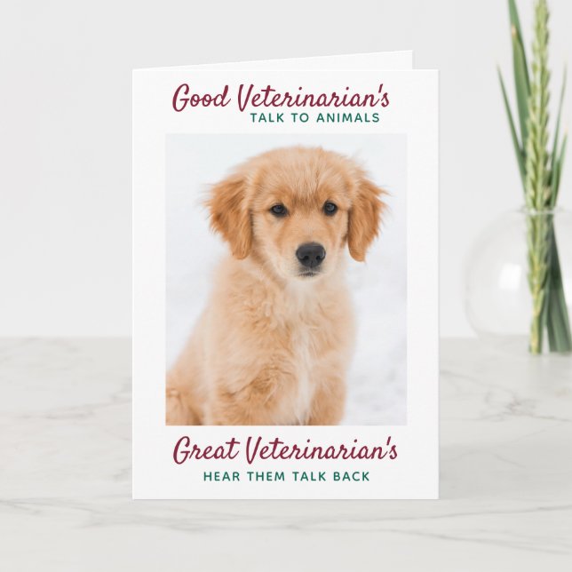 Great Veterinarian Personalise Christmas Pet Photo Holiday Card (Front)