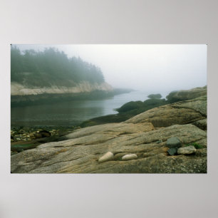 Great Wass Island shore cove Poster