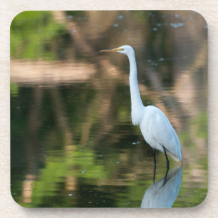 Great White Egret Coaster