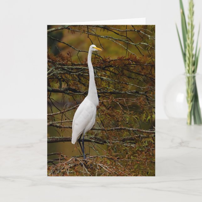 Great White Egret Fall Leaves Greeting Card (Front)