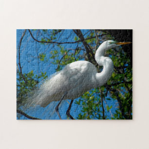 Great White Egret Florida. Jigsaw Puzzle