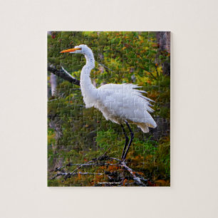 Great White Egret Florida Jigsaw Puzzle