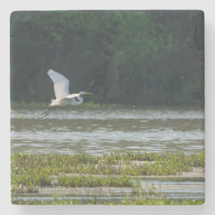Great White Egret Flying Stone Coaster
