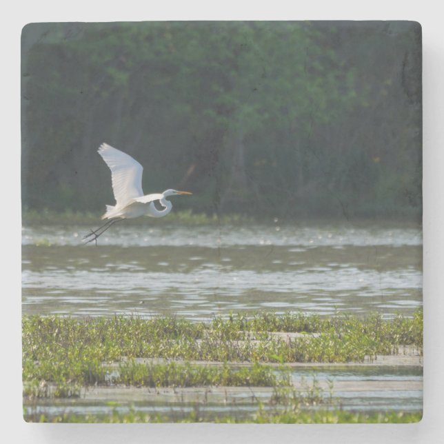 Great White Egret Flying Stone Coaster (Front)