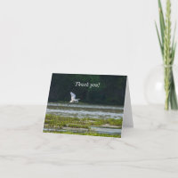 Great White Egret Flying Thank You Card
