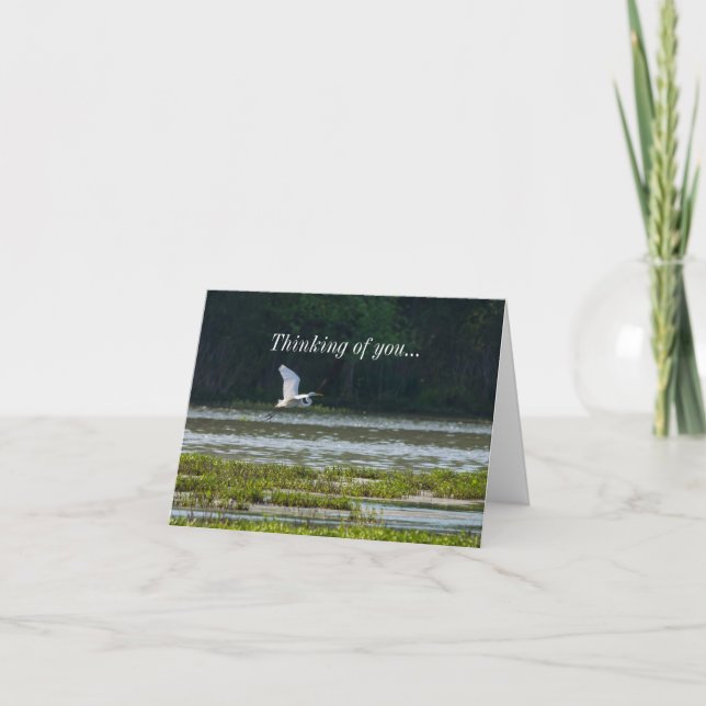 Great White Egret Flying Thinking Of You Card (Front)
