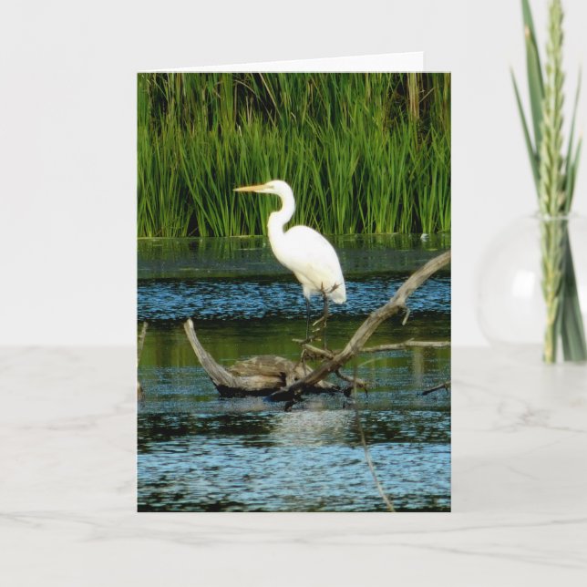 Great White Egret Greeting Card (Blank) (Front)
