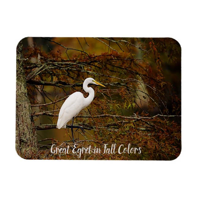 Great White Egret in Fall Colours Flexible Magnet (Horizontal)